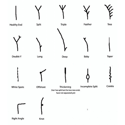 different types of split ends